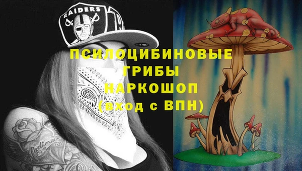 гашик Армянск