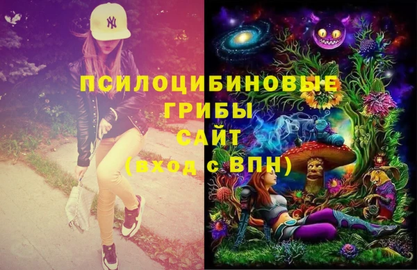 спайс Аркадак
