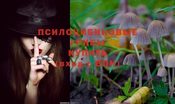 амфетамин Арсеньев