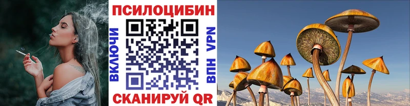Галлюциногенные грибы Psilocybe  Чудово 